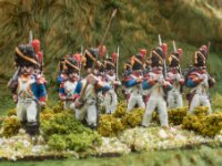 SMALL Napoleonic 6   2018  French old guard